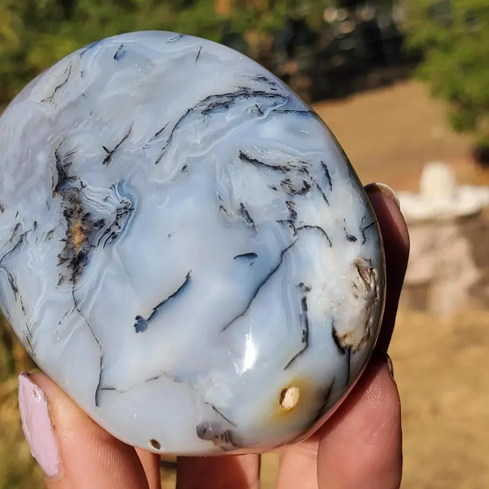 Dendritic Agate Multi-Color Pattern Translucent Freeform Crystal 258 Grams